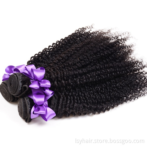 Cuticle Aligned Virgin Mongolian Kinky Curly Human Hair Crochet Braids  In South Africa, Kinky Hair Vendor Ombre With Closure